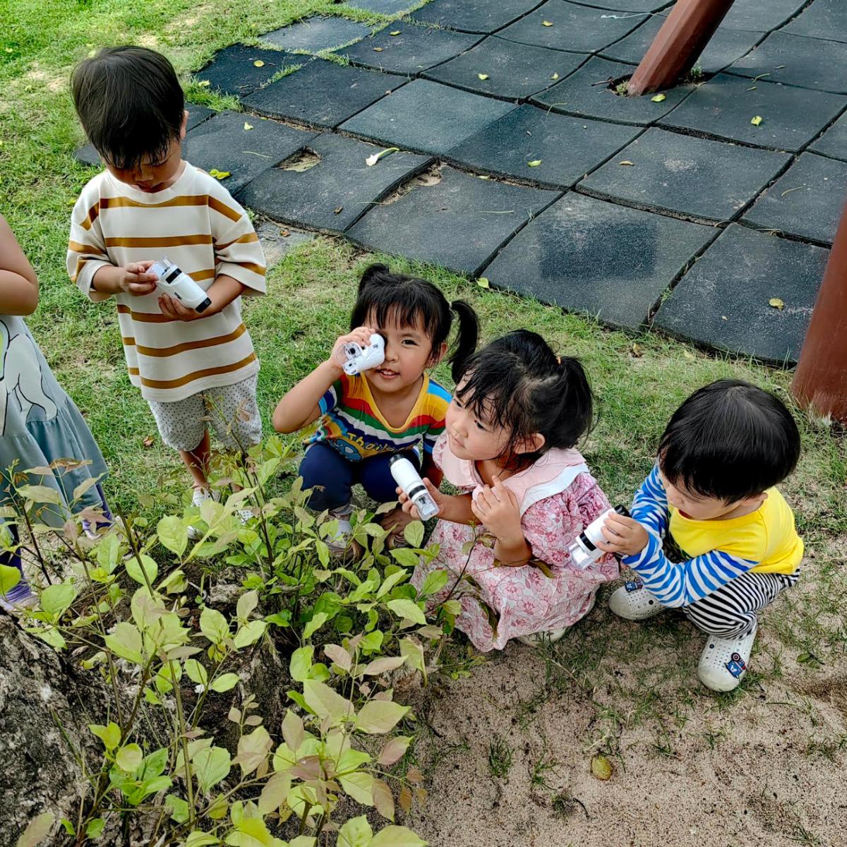 Beyond the Walls: Why Nature Is the Ultimate Classroom
